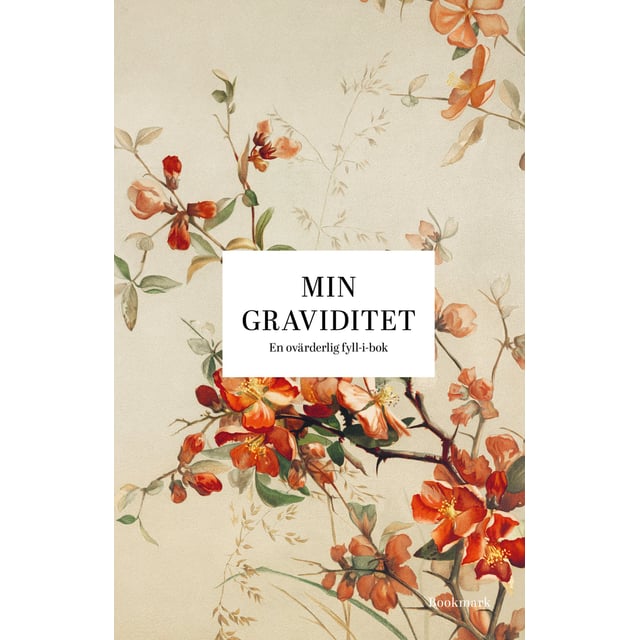 Böcker Min Graviditet