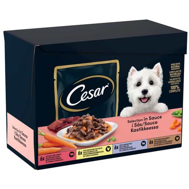 Cesar Hundmat Mixbitar i Sås 24 x 100 g