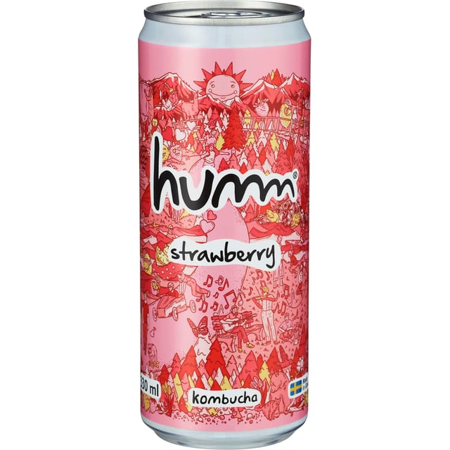 Humm Kombucha Jordgubb Eko 330 ml