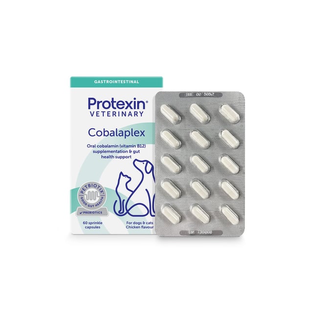 Protexin  Cobalaplex Dogs & Cats 60 kapslar