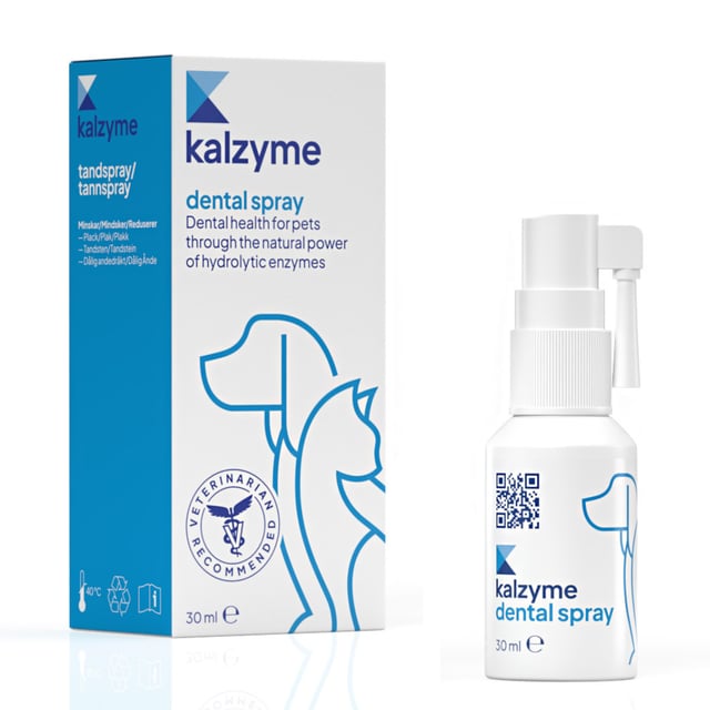 Kalzyme Dental Spray 30 ml