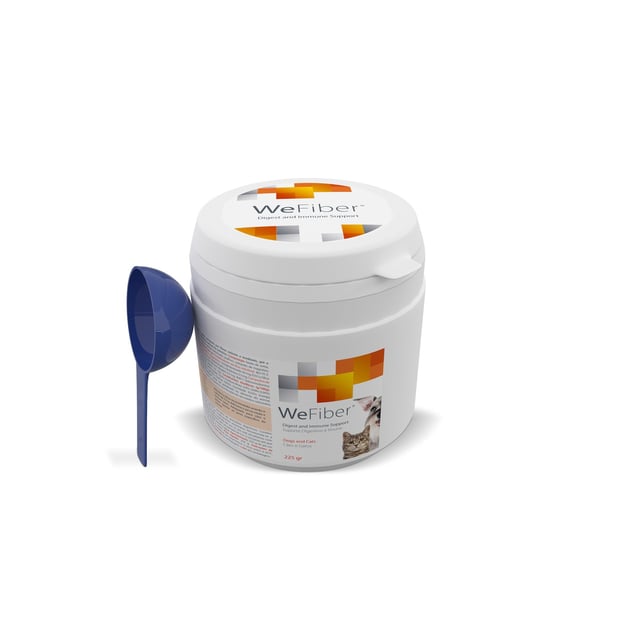 Wepharm WeFiber Pulver 225 g