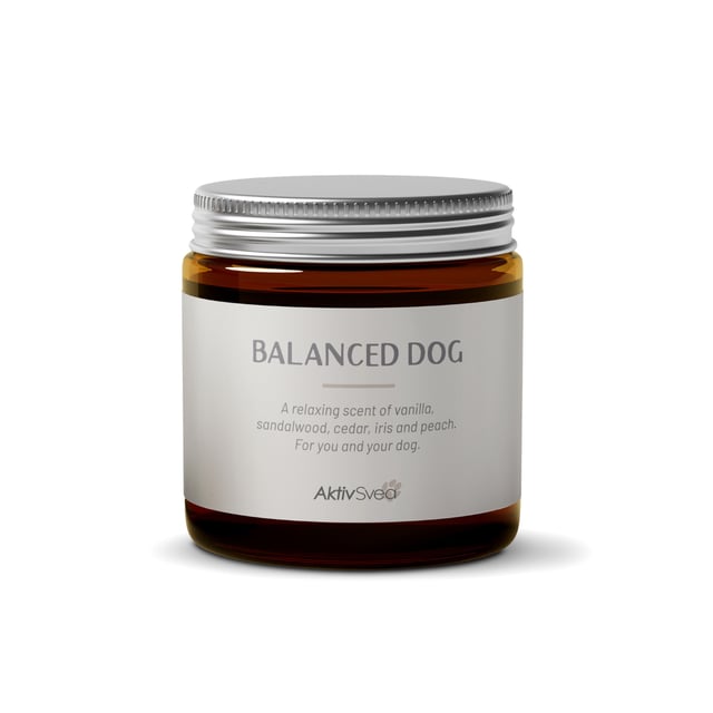 AktivSvea Doftljus Balanced Dog 150g