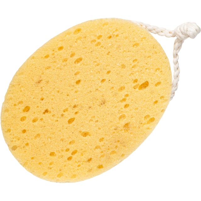 BODY LAB Foam Bath Sponge