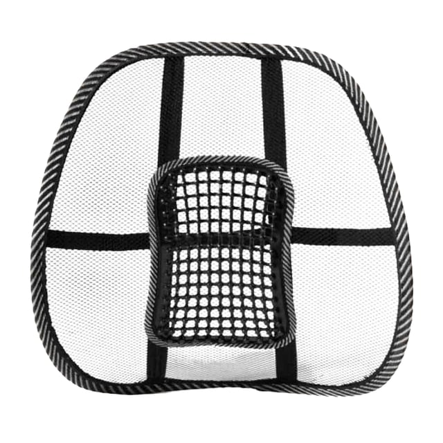 Swedish Posture BackRest Svankstöd