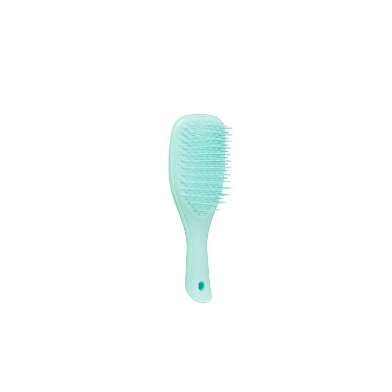 Tangle Teezer Wet Detangle Mini Light Blue