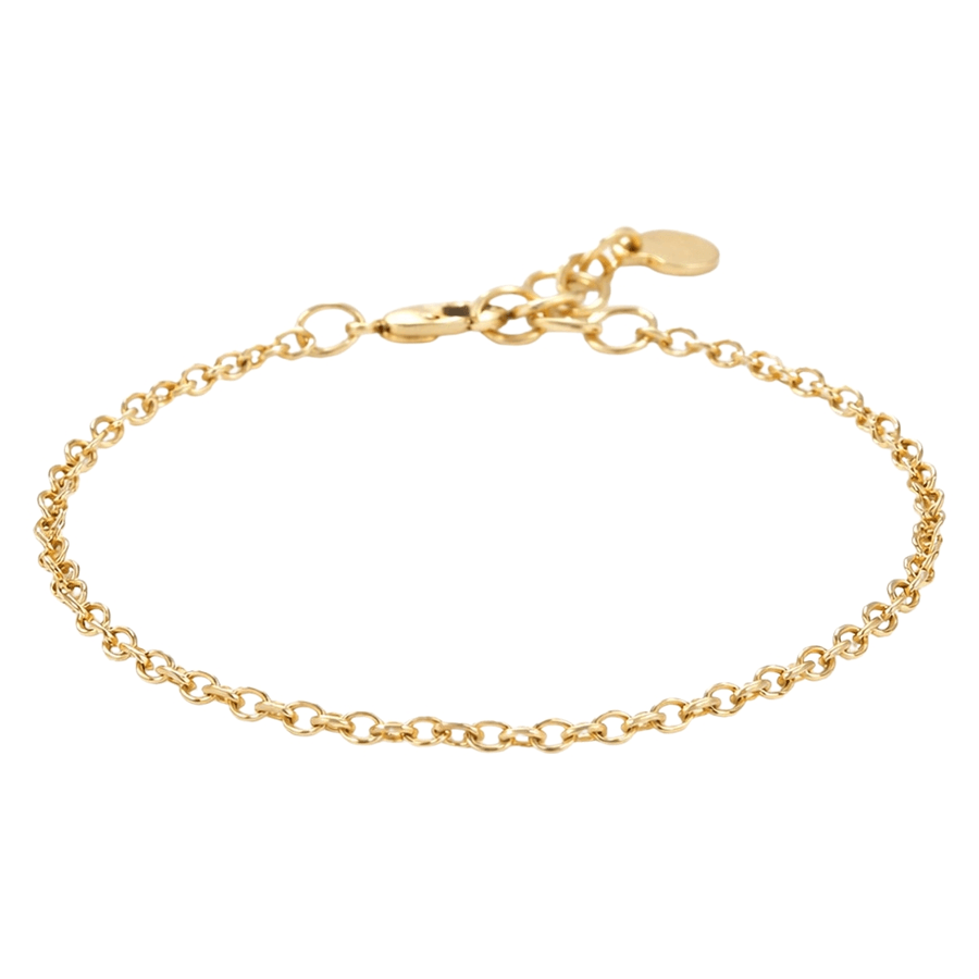 Snö Of Sweden Steel Essential Chain Anklet Plain Gold Onesize