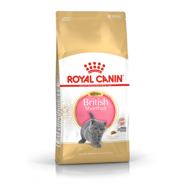 Royal Canin British Shorthair Kitten torrfoder för kattunge 2 kg