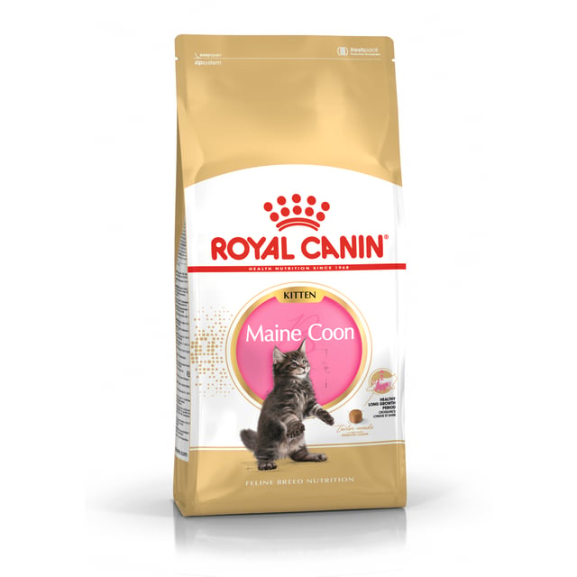 Royal Canin Maine Coon Kitten torrfoder för kattunge 4 kg