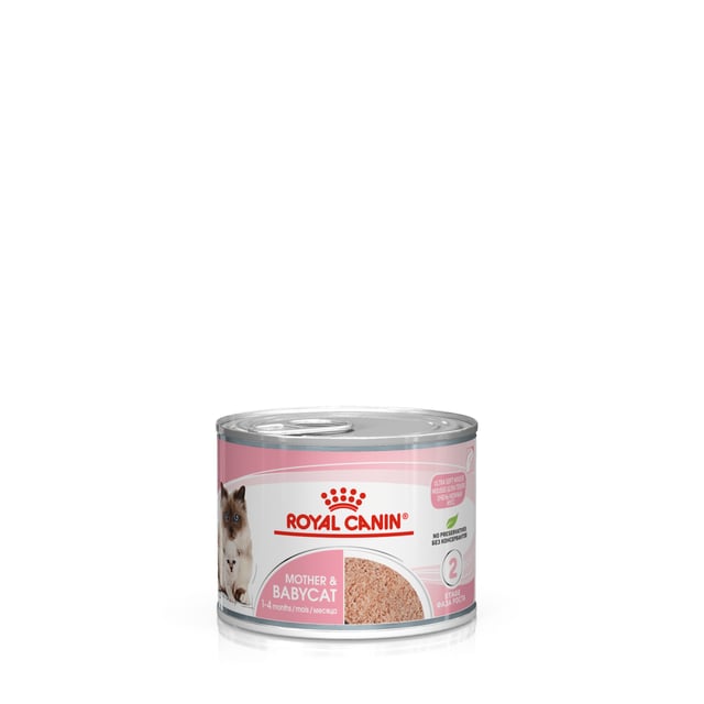 Royal Canin Mother & Babycat mousse våtfoder för katt och kattunge 12 x 195 g
