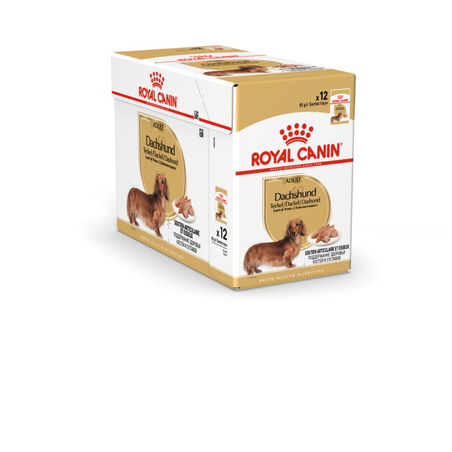 Royal Canin Dachshund Adult Loaf våtfoder för hund 12 x 85 g