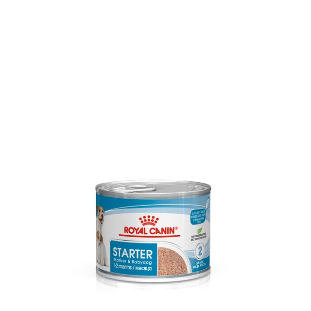 Royal Canin Mother & Babydog Starter Mousse Våtfoder för Hund & Hundvalp 2,34 kg