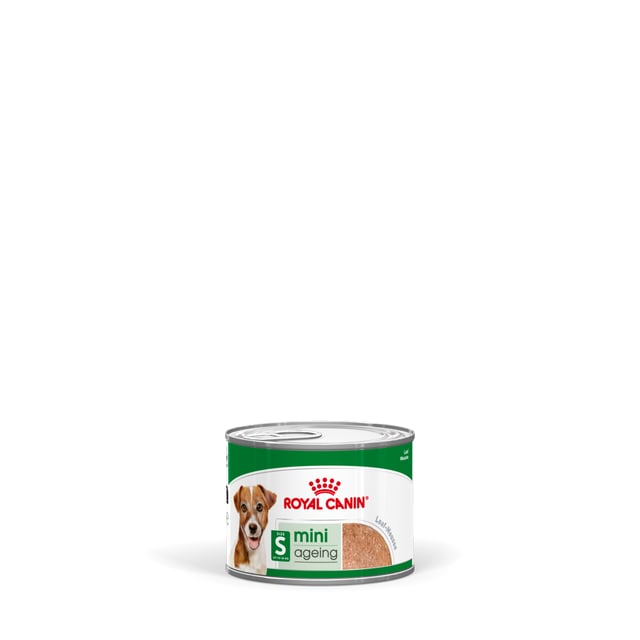Royal Canin Mini Ageing Loaf våtfoder för hund 12 x 195 g