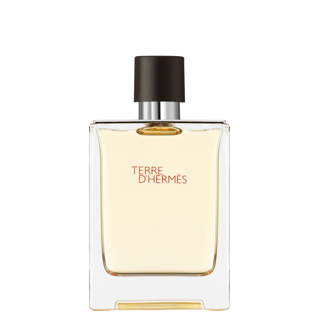 Terre D'Hermès Eau De Toilette 100 ml