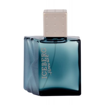 Iceberg Homme edt 100ml