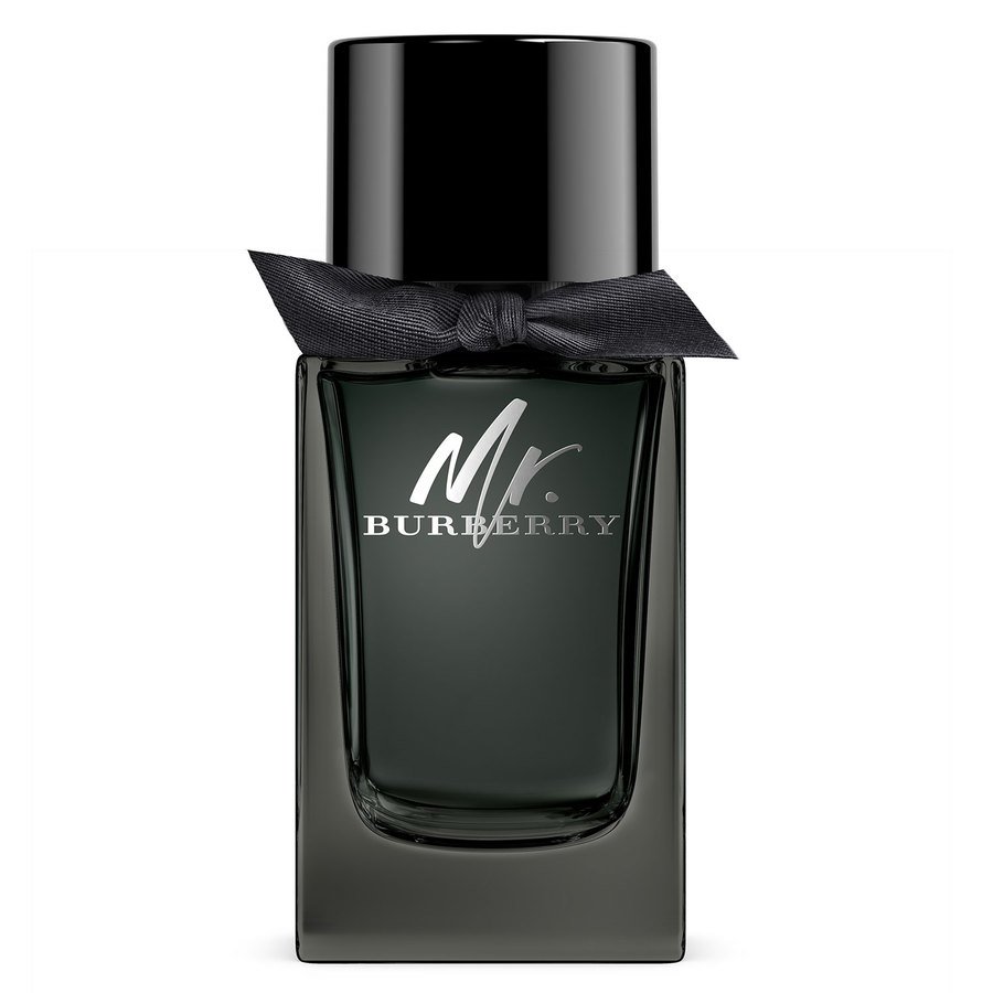 Burberry Mr. Burberry Eau de Parfum 100 ml