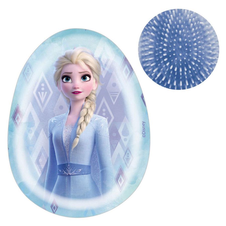 Artesania Cerda Oval Hair Brush Frozen 2